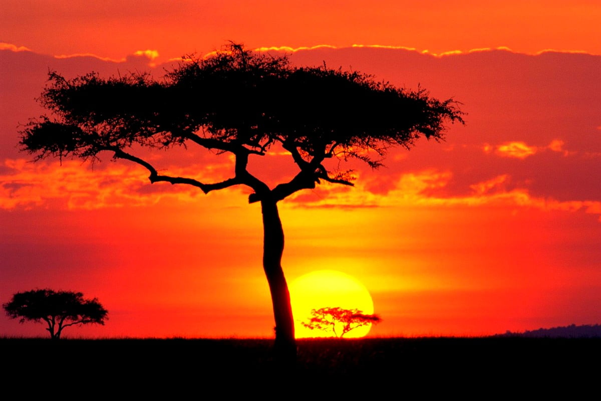 Imagem de papel de parede Pôr Do Sol, Natureza, Savana 🔥 Baixar Grátis