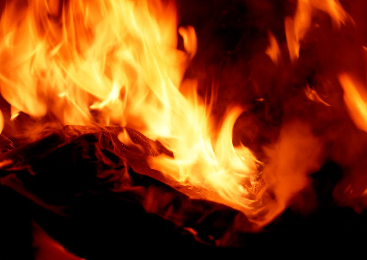 Chamas, fogo, natureza, cachorros, fogueira : grátis HD imagem de plano de fundo 1600x1135