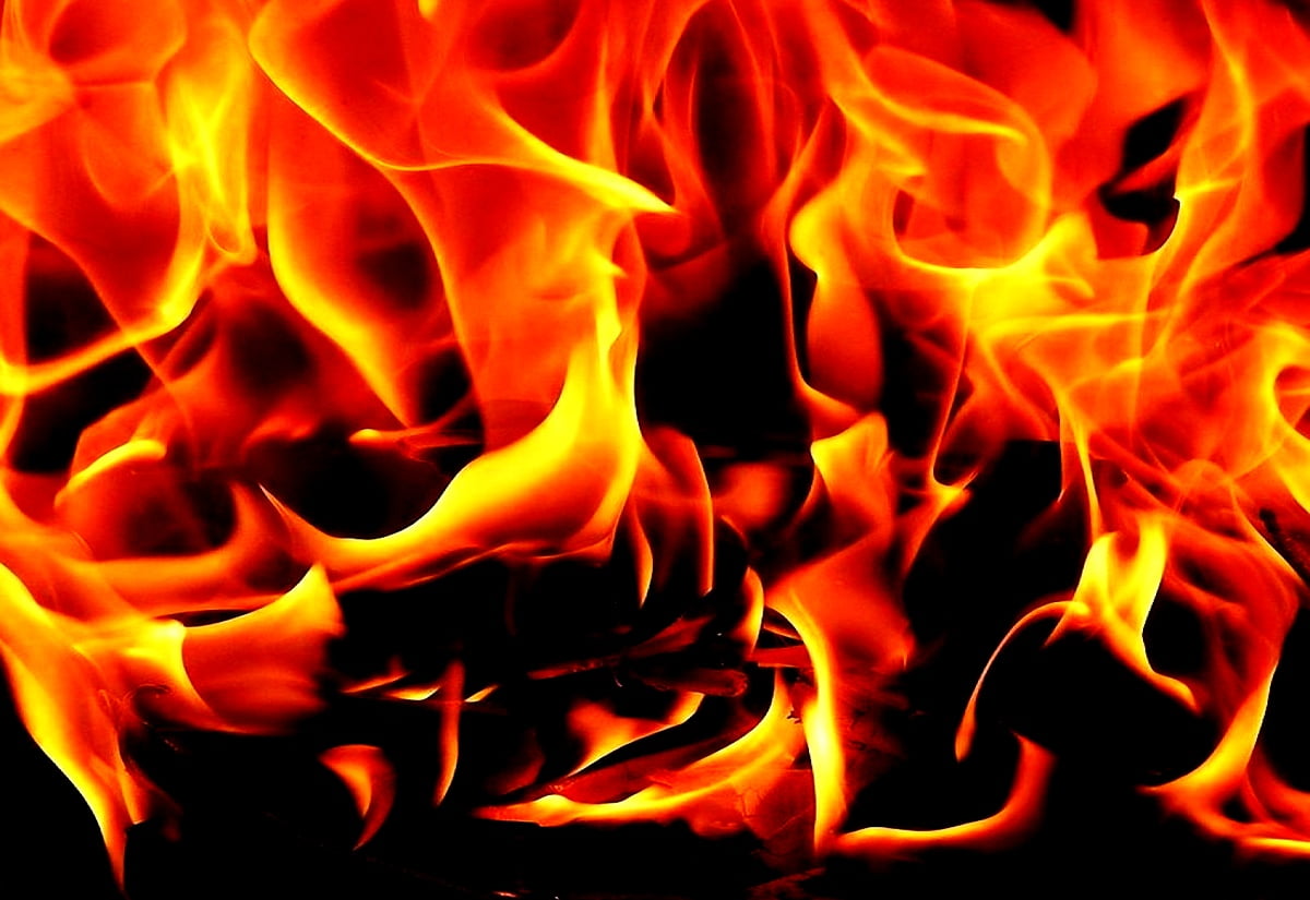 Grátis imagem de fundo — fogo, chamas, natureza, fumaça, lareira (1600x1100)